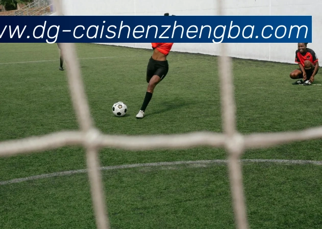 多媒体互动体验