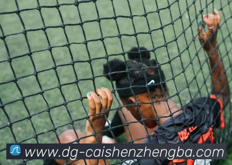 彩神争霸APP 高清赛事图